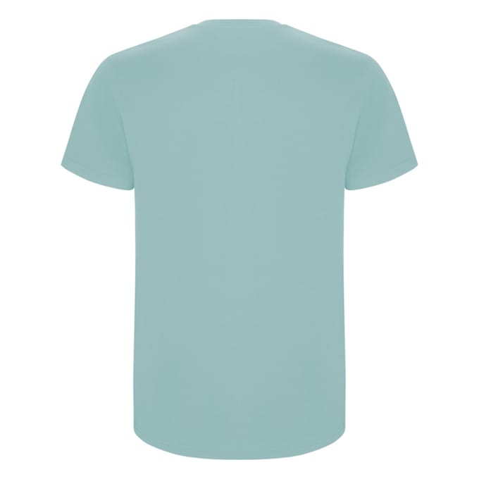 Roly Heren Stafford T-Shirt (Gewassen blauw)