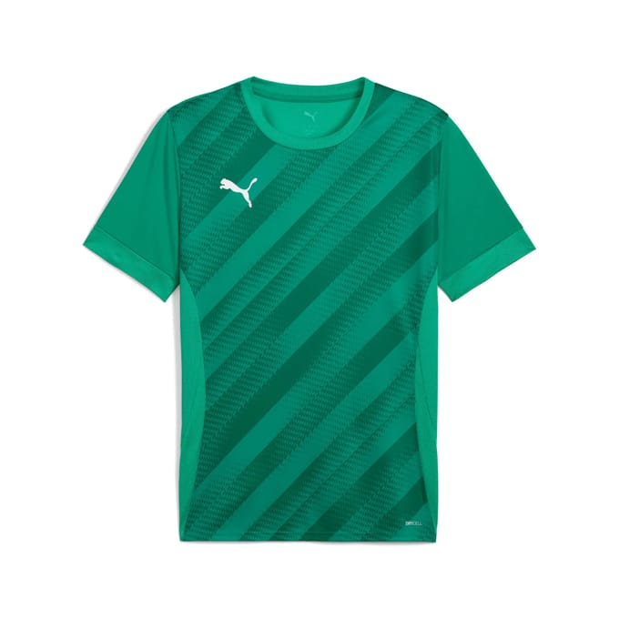Jersey Puma teamGoal Graphic