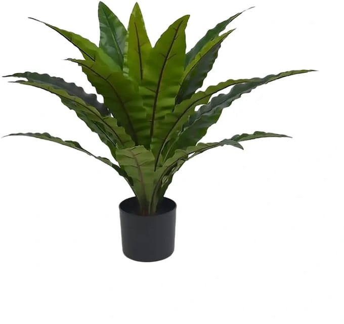 Kunstplant Nestvaren in Pot - 70 cm