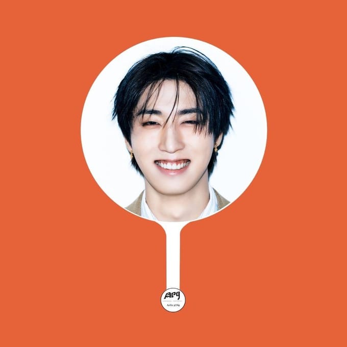 Stray Kids × ApopGong(DIT & DAT)exclusieve IMAGE PICKET A versie HAN