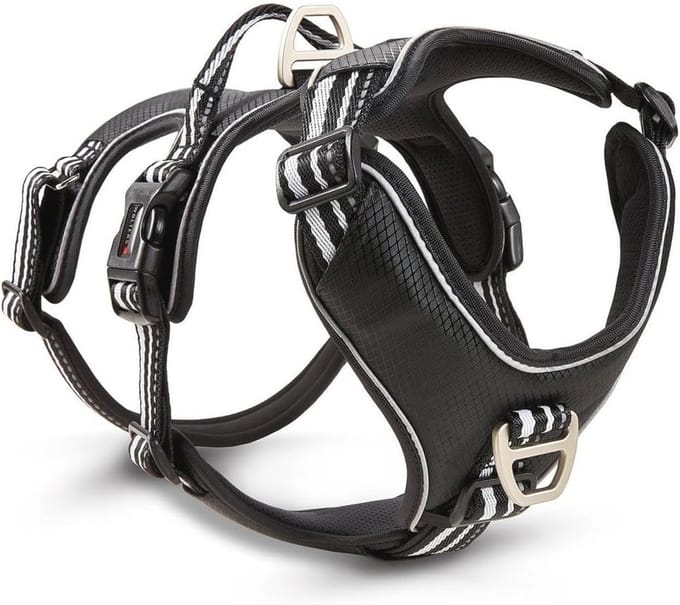 Veiligheidsharnas voor Honden, maat 55-65 cm, zwart/zilver