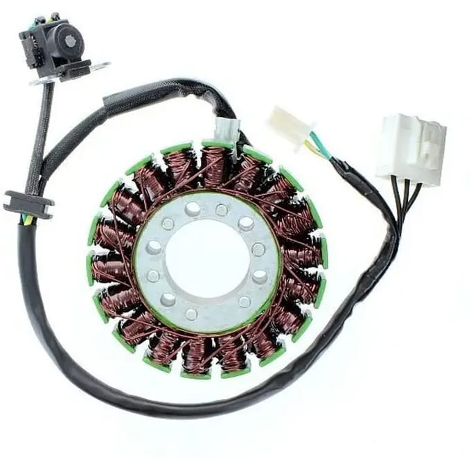 Originele aanpasbare motor dynamo Electrosport Kawasaki