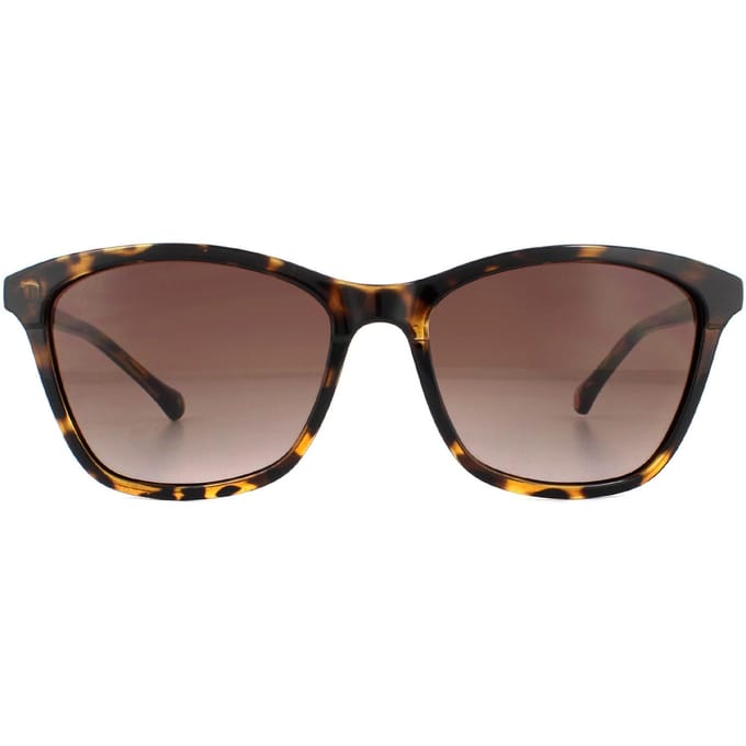 Ted Baker Zonnebril TB1440 Tari 122 Havana Bruin Verloop