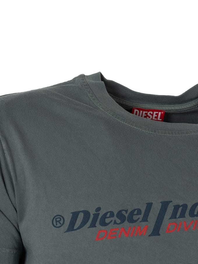 Diesel T-Shirt T-Diegor Mannen Grijs