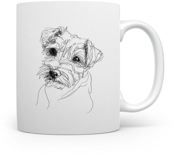 Beker Norfolk Terrier