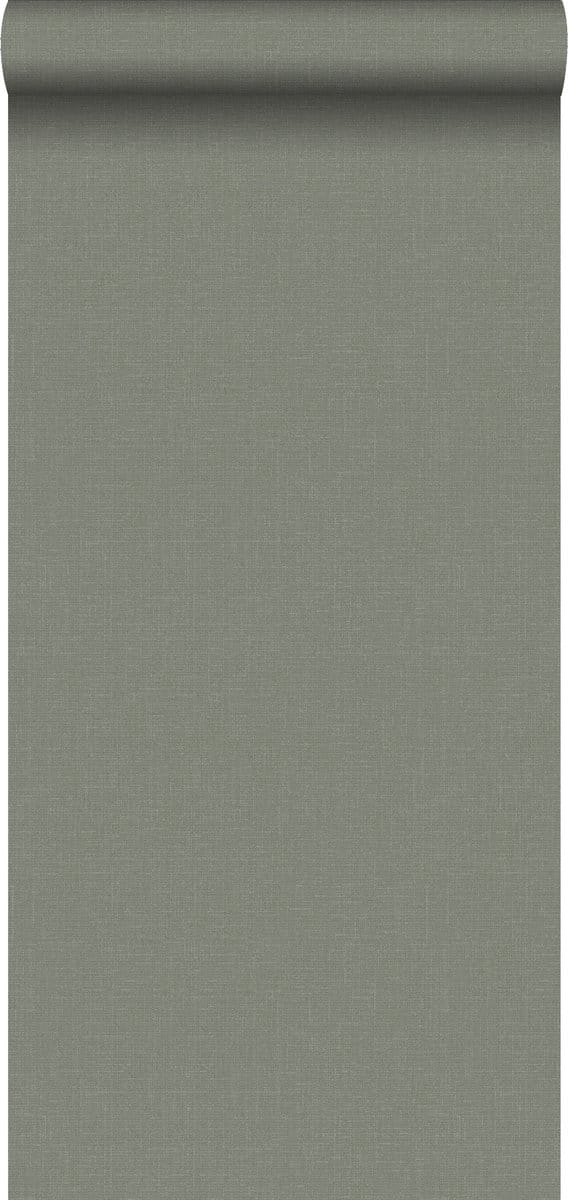 Walls4You behang effen groen grijs - 935343 - 0,53 x 10,05 m