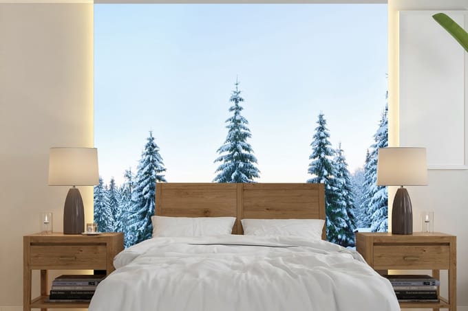 Behang - Fotobehang Winter - Sneeuw - Bomen - Breedte 260 cm x hoogte 260 cm