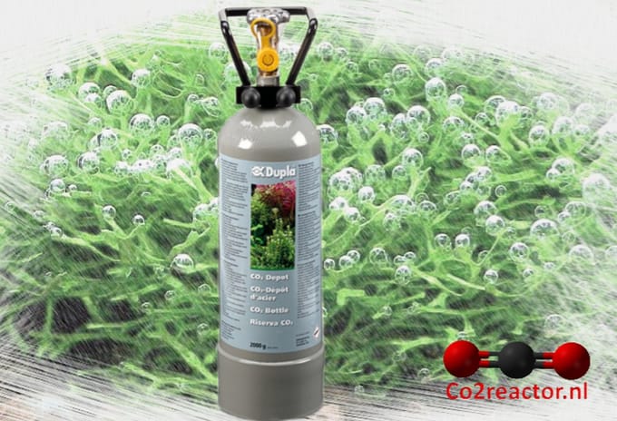 Dupla CO2 Depot 2000 Gram