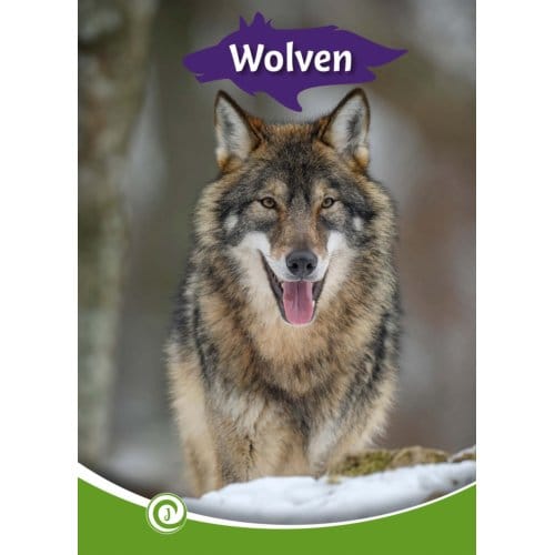 Wolven - Junior Informatie - Geert-Jan Roebers