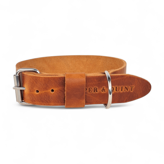 Cooper & Quint Bold Brede Leren Halsband - Camel - Medium - 3 cm - Oud Messing