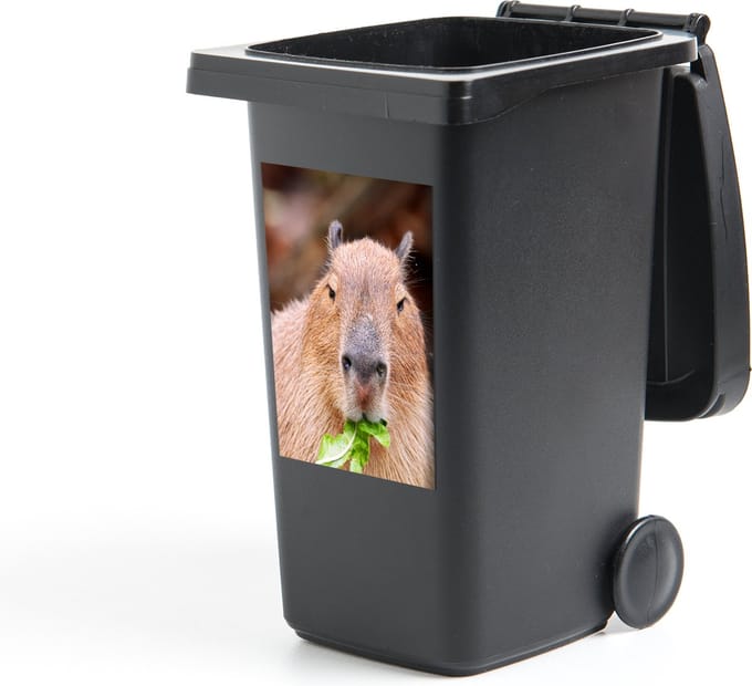 Container sticker Capibara - Een Capibara die groene salade eet - 40x60 cm - kliko sticker - weerbestendige containersticker