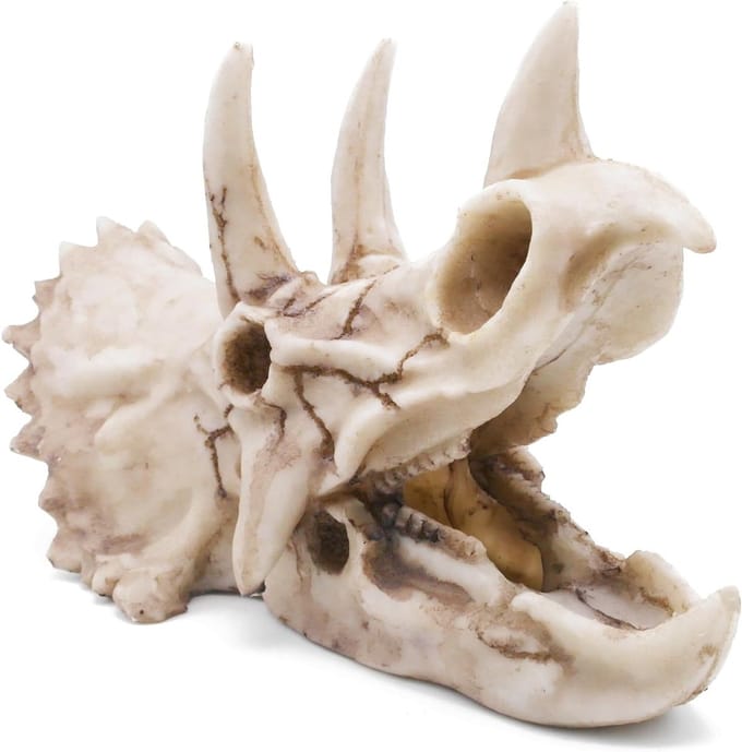 Dinosaurus Schedel Versteend Reptiel Ornament Schelp voor Terrarium Aquarium