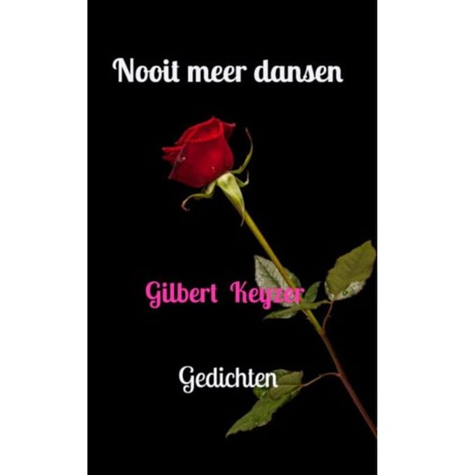 Nooit Meer Dansen - Gilbert Keyzer