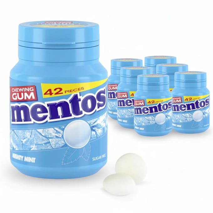 Mentos Kauwgom Mighty Mint Bottle (6x42 stuks)