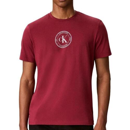 T-shirt Calvin Klein Jeans Ss 30s Eu Crest