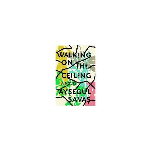 Walking On The Ceiling - Aysegul Savas
