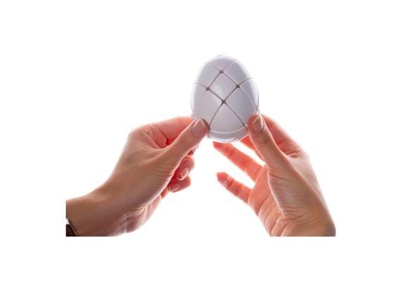 Recent Toys Morph's Egg Breinbreker