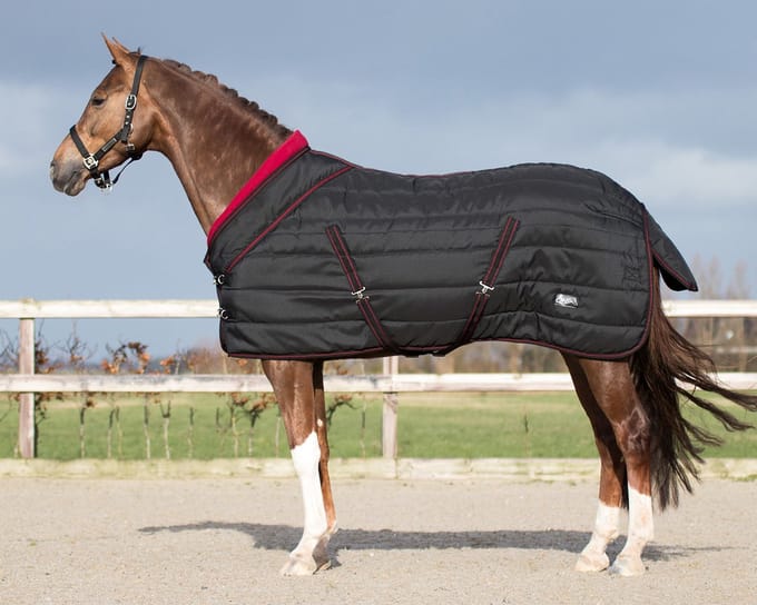 QHP Staldeken luxe Collection 200gr - maat 165/215 - black