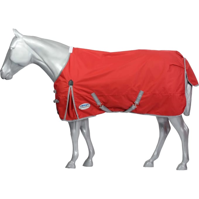 Outdoor paardendeken Weatherbeeta Comfitec Classic Standard 220g