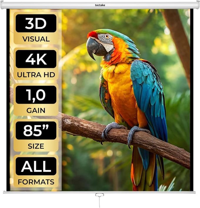 Projectiescherm - Beamer Scherm - Home Cinema - Zonder Kreukels - 152 x 152 cm - Wit