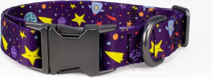 Luxe Halsband voor Honden-Metaal- Verstelbaar-26 Cm-40 Cm x 2 Cm-D6