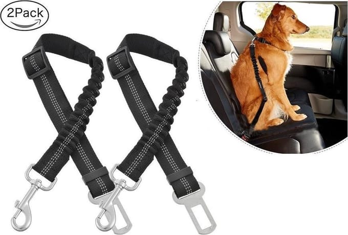 *** 2x Premium Autogordel Hond - Veilig Onderweg - van Heble® ***