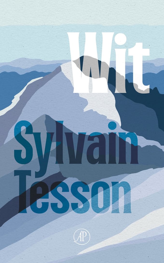Wit - Sylvain Tesson