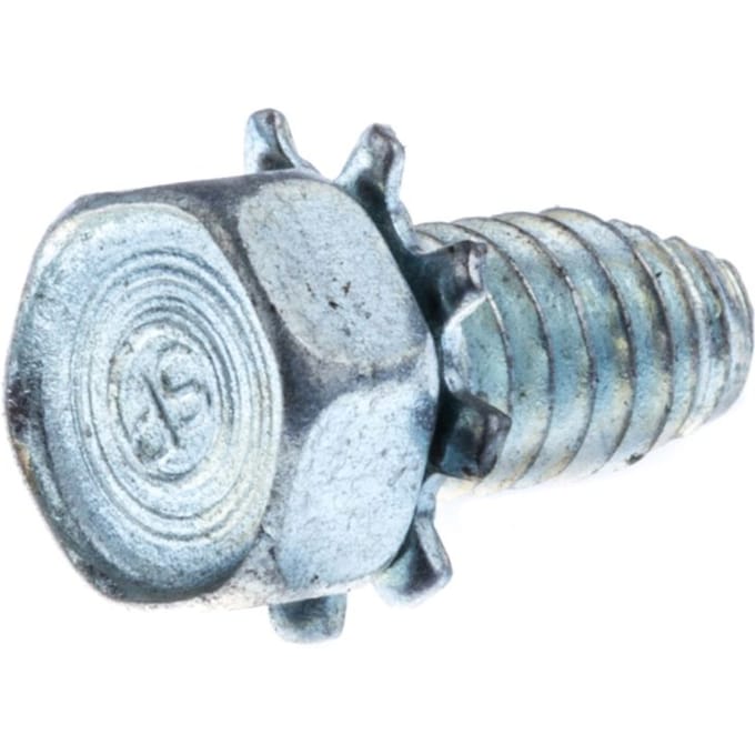 Screw