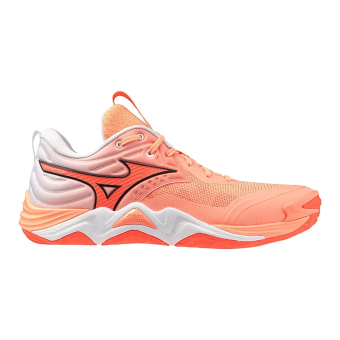 Indoor schoenen Mizuno Wave Momentum Elite