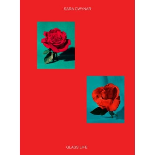 Sara Cwynar: Glass Life - Sara Cwynar