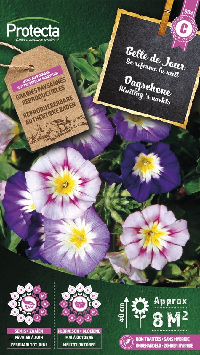 Protecta Bloemen zaden: Dagschone gemengd | Driekleurige Winde