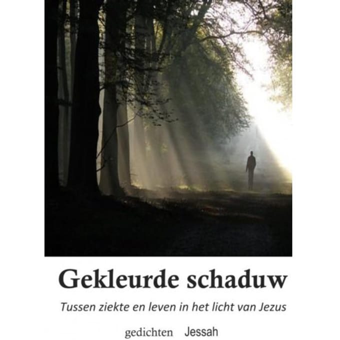 Gekleurde Schaduw - Jessah Groenink