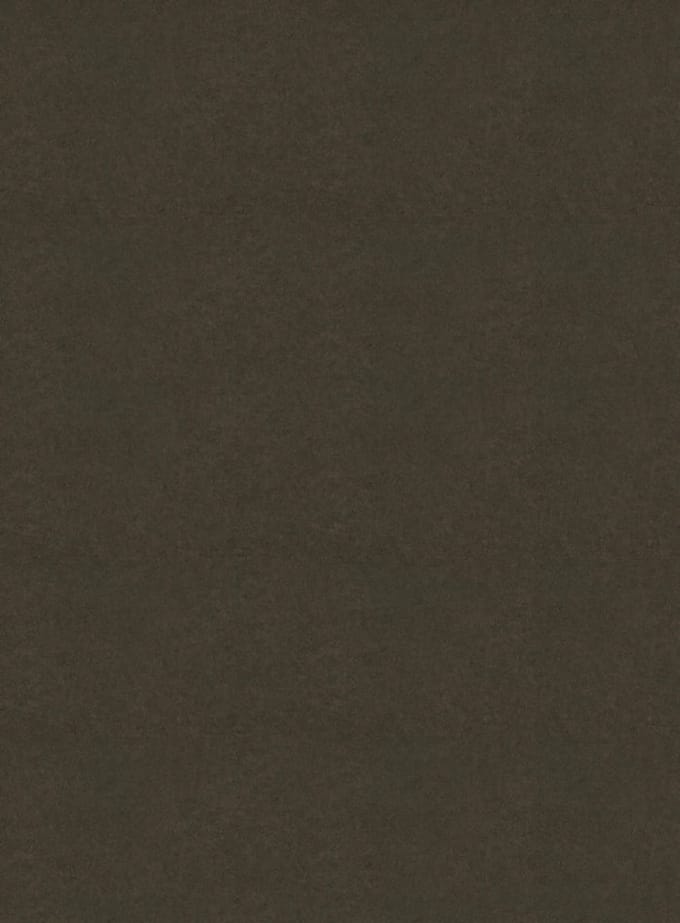 DutchLine - SPC Wandpaneel - Cemento Bruin Mat