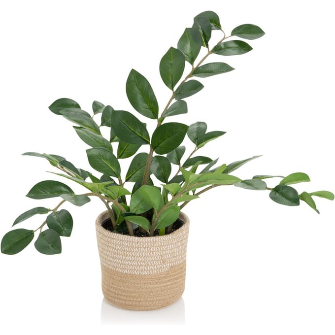 Kunstplant / kunstboom GLÜCKSFEDER Zamioculcas groen hjh OFFICE