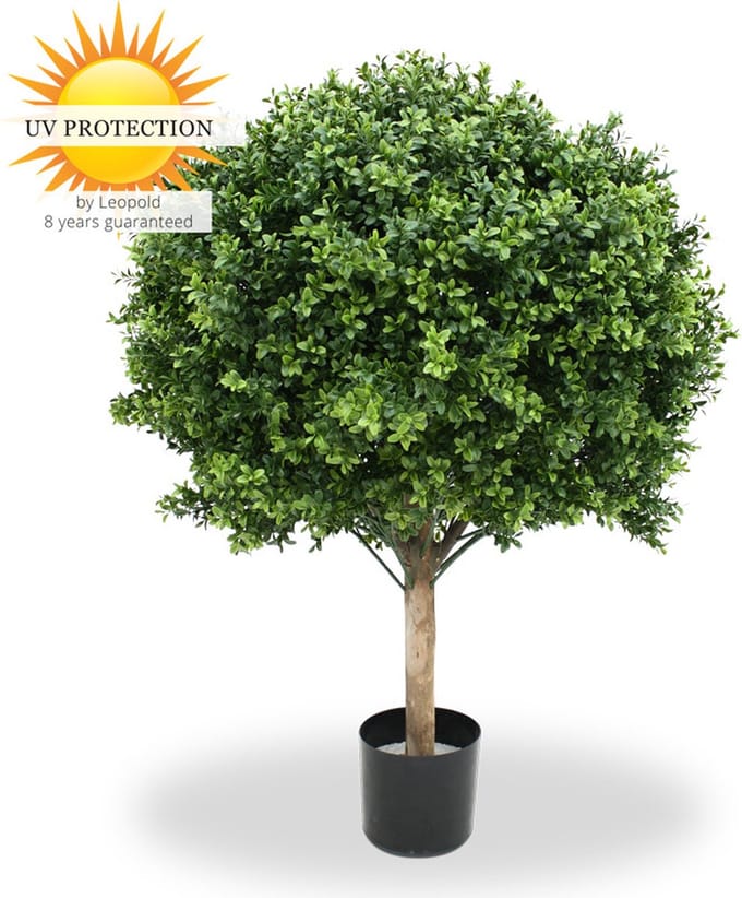 Grote Kunst Buxus Bol 80