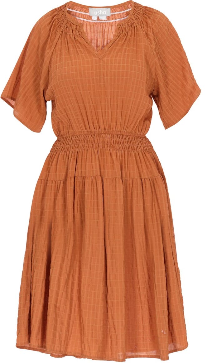 usha Dress