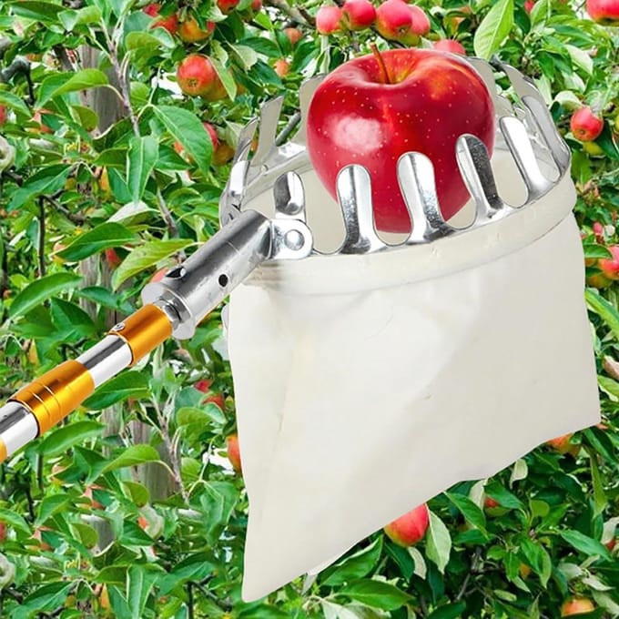 Fruitplukker Telescopisch - Plukstok Fruit - Fruit Oogsten - Dubbele Vergrendeling - 10 meter - Zilver