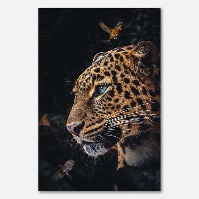 Schilderij op canvas - 60 x 90 cm - Luipaard met vogels in het donker - PosterJunkie