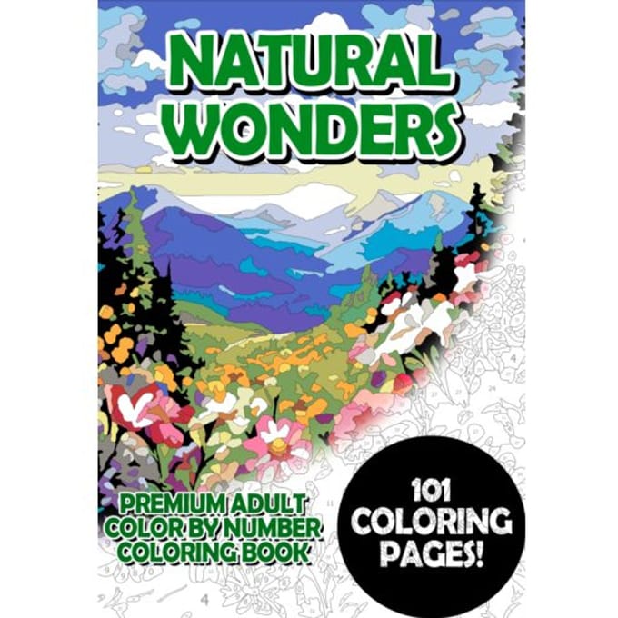 Space Dreams - Premium Adult Color By Number Coloring Book - Timo Korbee