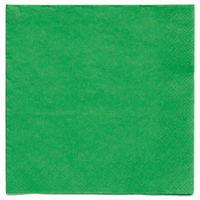 20 Evergreen Eco servetten 33cm