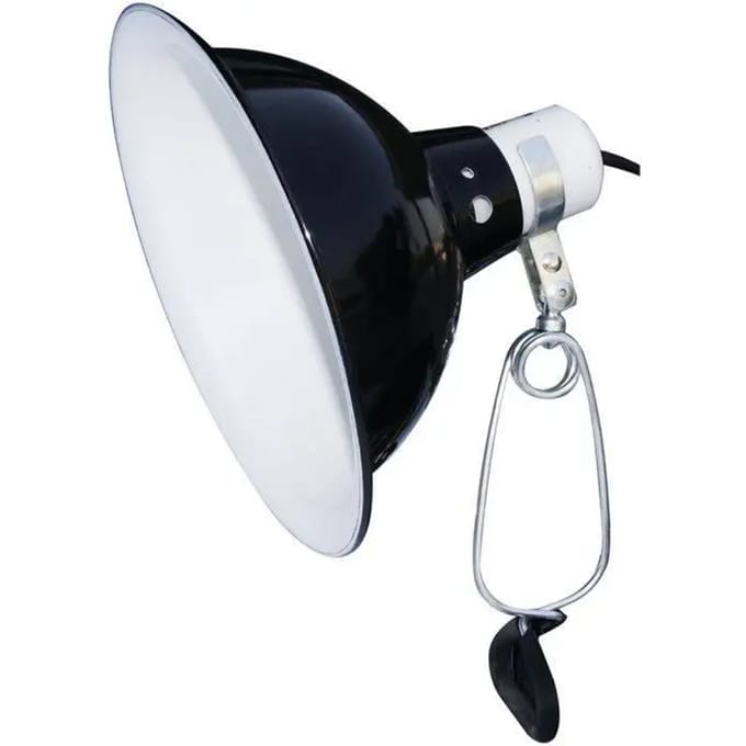 Komodo Black Dome Clamp Lamp Fixture -  Terrarium Verlichting - 14 cm - 60W