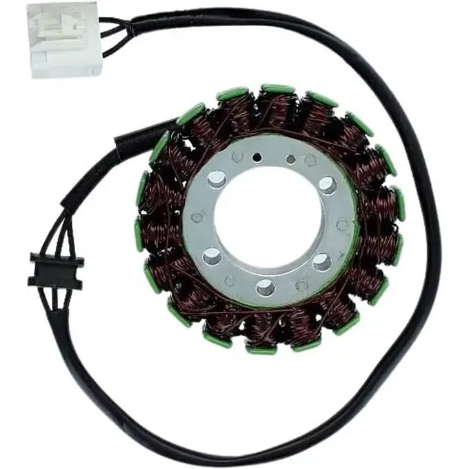 Originele aanpasbare motor dynamo Electrosport Kawasaki