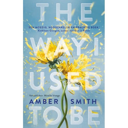 The Way I Used To Be - Amber Smith