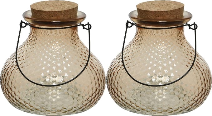 Decoris wespenvanger/wespenval - set 2x - glas - lichtbruin - D14 x H13 cm