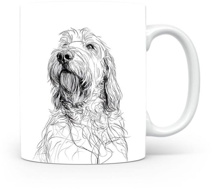 Beker Otterhound