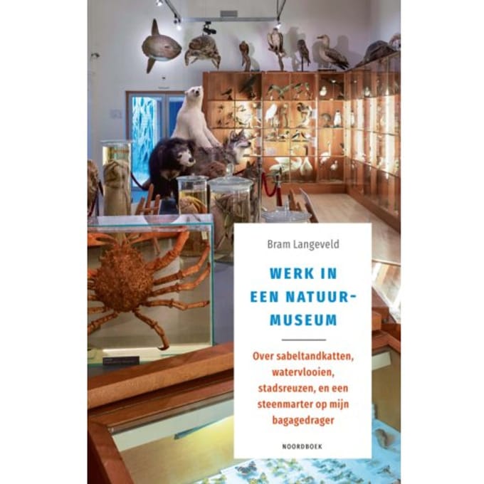 Werk In Een Natuurmuseum - Bram Langeveld