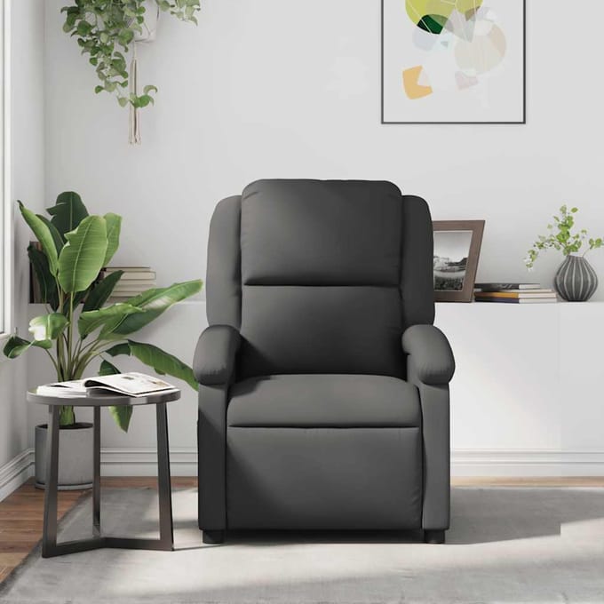 vidaXL - Fauteuil - echt - leer - grijs