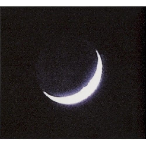Oiseaux-Tempete - Tarab (CD)