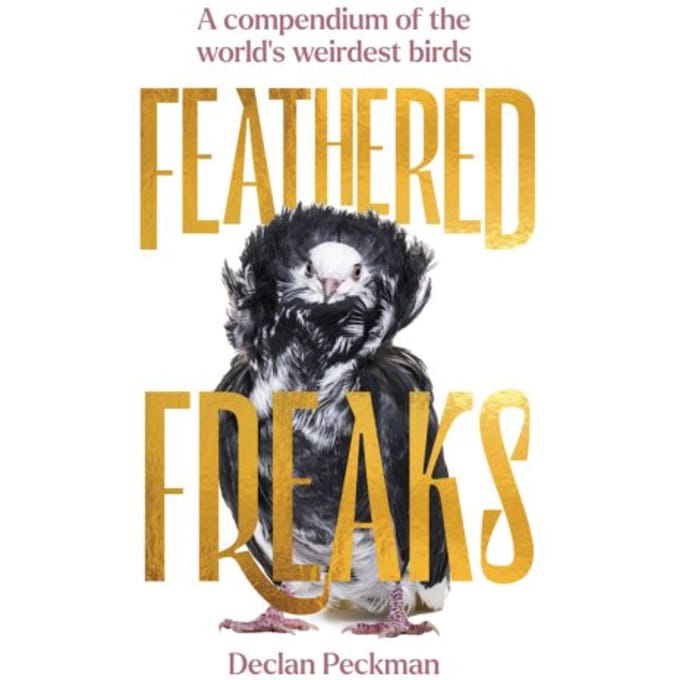 Feathered Freaks - Declan Peckman
