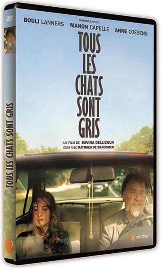 Tous Les Chats Sont Gris (DVD)